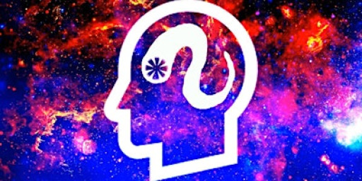 Brain Worms Book Club 114 / Metamorphosis and Other Stories by Franz Kafka