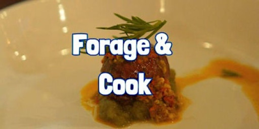FORAGE & COOK (Half Day) by Windermere (Cumbria)