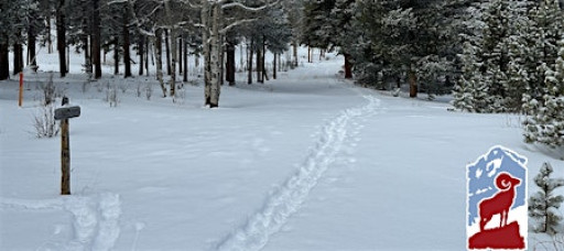Winter Hike: The Pool