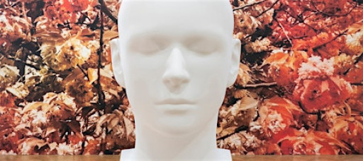 Opening Reception for Imaging After Photography