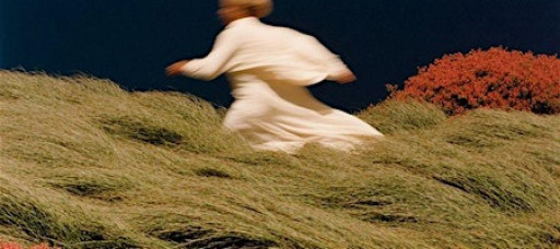 Wander & Wonder: Shamanic Journeying for Inner Wisdom