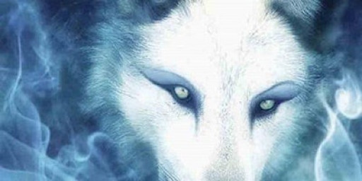 Essex Spiritual Workshop - Spirit Animal Guides - Essex Psychic Workshop