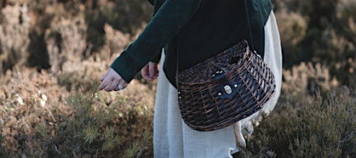 1st March Foraging Walk