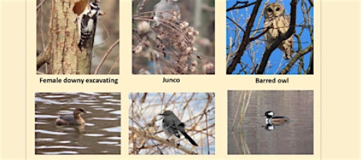 Van Cortlandt Nature Group Walk