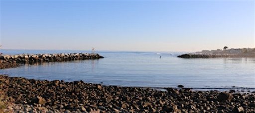 Science on Tap: Gulf of Maine Checkup