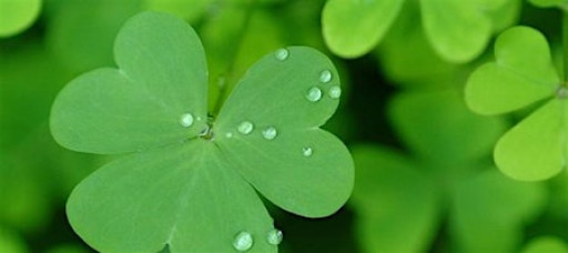 St. Pattys Day Themed Candle Making Workshop