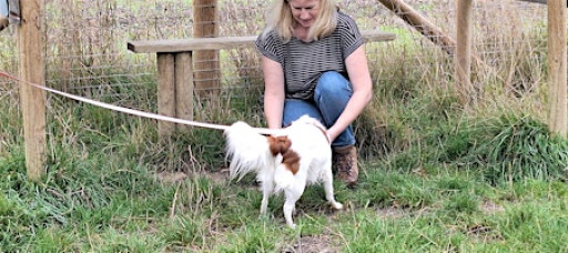 Global Mantrailing Introduction Workshop