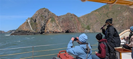 Mother's Day Wildlife Sail under the Golden Gate Bridge 2026