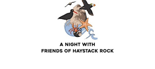 Brown Pelican Community Science and Collaborative Tracking