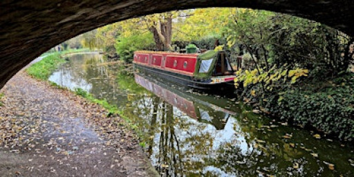 Family activity round robin event