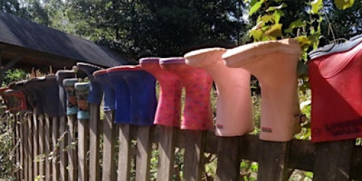 Testwood Lakes Forest School 6 week programme for 1.5-5 years