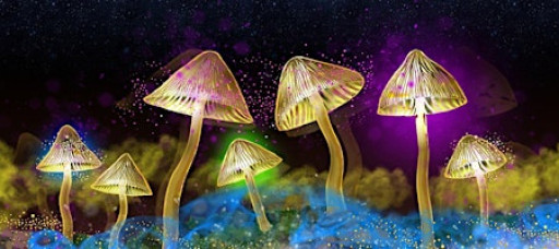 The Science of Psychedelics with Dr Sam Gandy