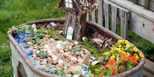 Children's Make Your Own Fairy Garden in Charlottesville