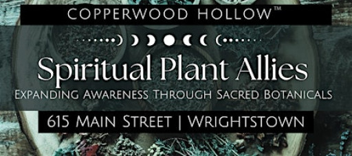 Spiritual Plant Allies - Expanding Awareness Through Sacred Botanicals