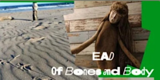 Ecstatic Awakening Dance™ [IN-PERSON - Alyth]