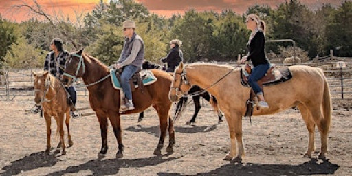 Cathy's Critters - Sunset Trail Ride