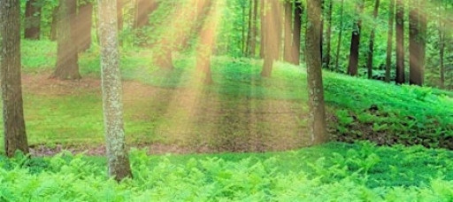 Spiritual, Not Religious Open Spiritual Discussion