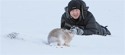 DES ONG's  Wildlife of Britain and Beyond