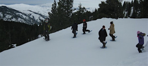 Grown-up Field Trip: Snowshoeing