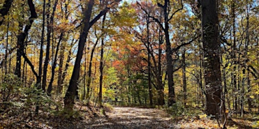 End of Autumn Hike in the Park