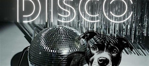 Dogs & Diamonds Disco