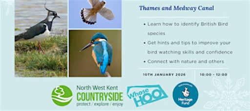 Winter Bird ID Walk