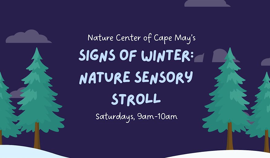 Signs of Winter: Nature Sensory Stroll