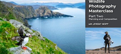 Wildlife Photography Masterclass - Part 2 - Planning and Composition