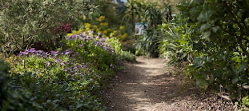 Introduction to Sustainable Gardening Series: Spring 2026