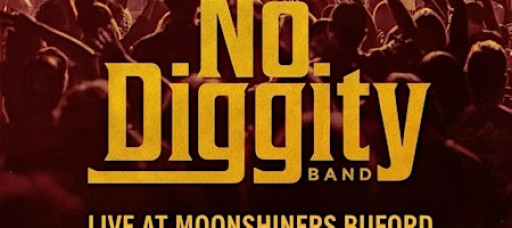 No Diggity Band Live