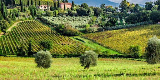 Tour Of Italy Night 1. Veneto & Piemonte!! - Wetherby