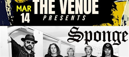 Sponge Live