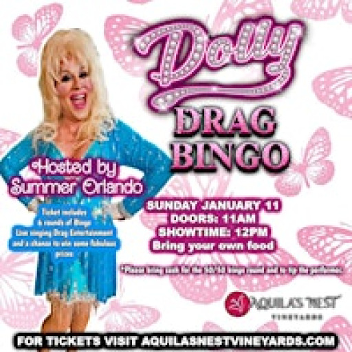 Dolly Parton Drag Bingo