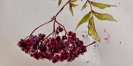 Painting from nature