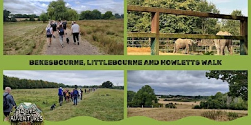 Bekesbourne, Littlebourne and Howletts Walk