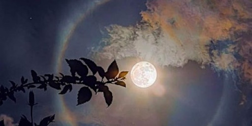 Dance in the Dark for the Full 'Snow' Moon with Move in Nature