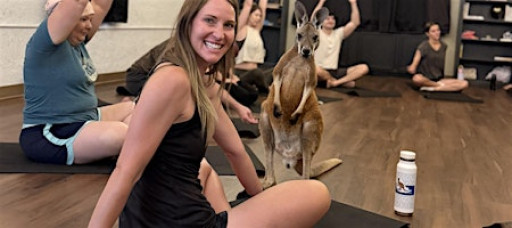 Kangaroo Yoga