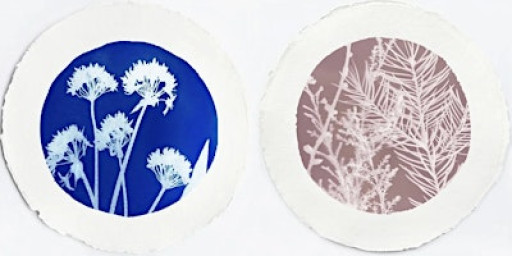 Cyanotype, Lumen and Anthotype Printing Workshop