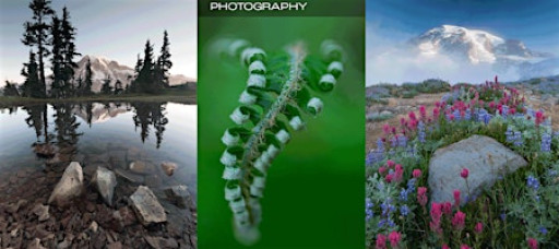 Nature and Landscape Photography - LIVE w/John Greengo