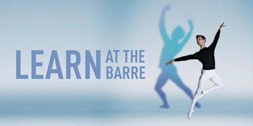 Term 2 - ADC Beginners 1 - Shan Del Vecchio (10-week lessons)