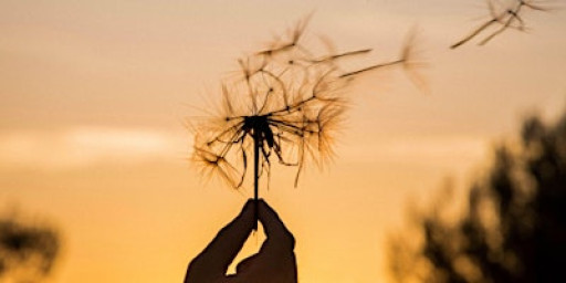 RELEASE AND RESET: MINDFULNESS + TIBETAN SINGING BOWLS