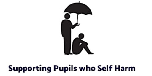 Manchester Hospital School CPD event- Supporting Pupils who Self Harm