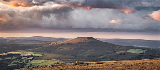 Exploring the Dynamics of Attachment -Enhancing health & wellbeing