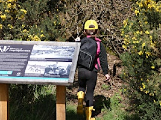 Fingringhoe Wilder Holiday Club 5+