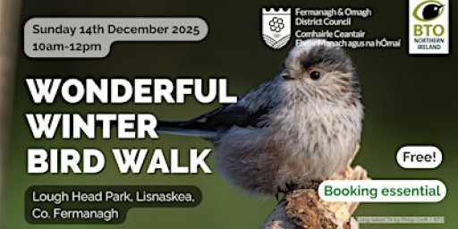 Wonderful Winter Bird Walk (Lisnaskea, Co. Fermanagh)