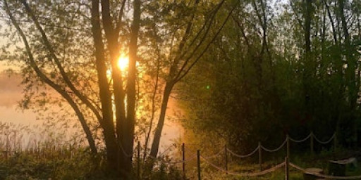 Easy `like a Sunday Morning Yoga