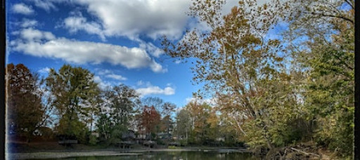 Basic Photography 101