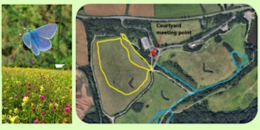 Biodiversity Meadow Wildlife Walk at Ryton Pools Country Park