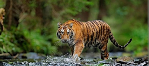 Hernando High Multi-Year Class Reunion 1977-1988