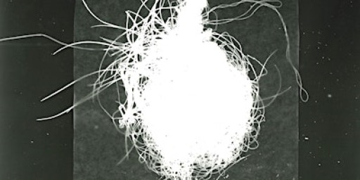 'Daniele Sambo – T.(--------) Pressure, Light, Fire’ Exhibition Preview